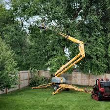 Best Tree Maintenance Programs  in Herricks, NY